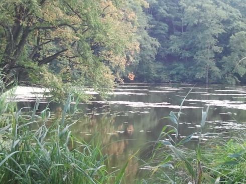 Im Sommer so schön: Seen - auch zum Baden - am Jakobsweg in Brandenburg